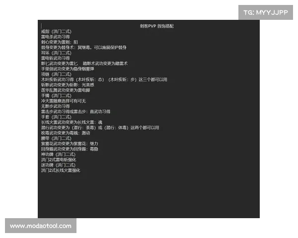 刺客职业装备搭配指南如何选择装备以最大化伤害输出效果 刺客职业装备搭配指南如何选择装备以最大化伤害输出效果