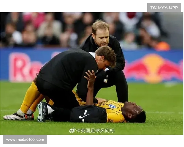 为什么大家称维尔贝克为黑贝 这个昵称背后的故事和原因